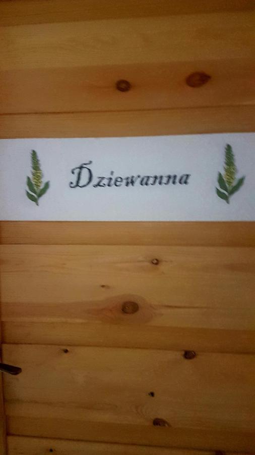 Апартаменты Dziewanna Brzeziniec Экстерьер фото